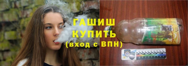 прущий лед Бородино