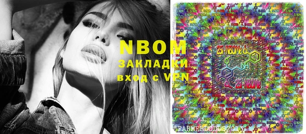 прущий лед Бородино