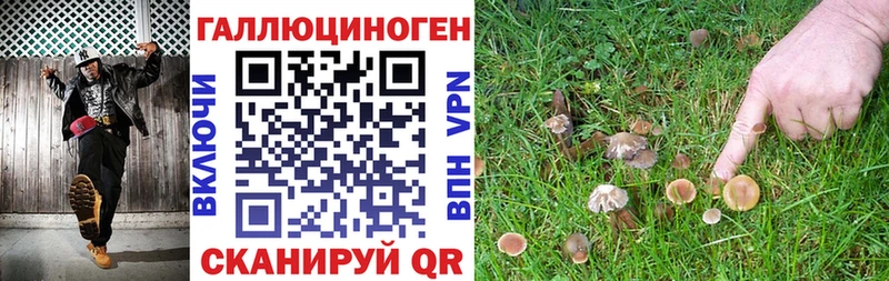 Галлюциногенные грибы прущие грибы  МЕГА зеркало  Томари 
